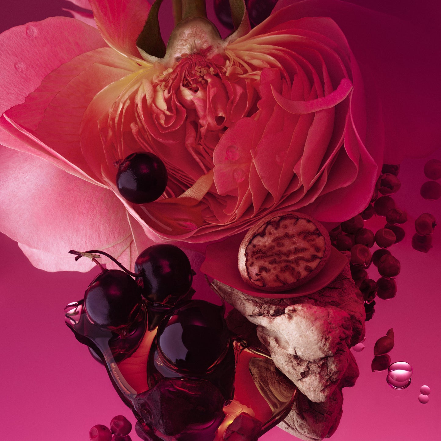 Rose Whip - 50mL